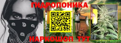 ПСИЛОЦИБИНОВЫЕ ГРИБЫ Краснодар
